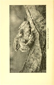 n231_w1150