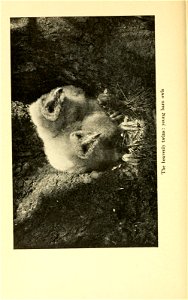 n301_w1150