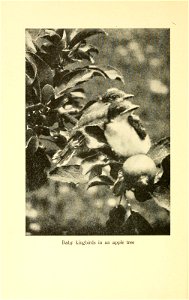 n213_w1150