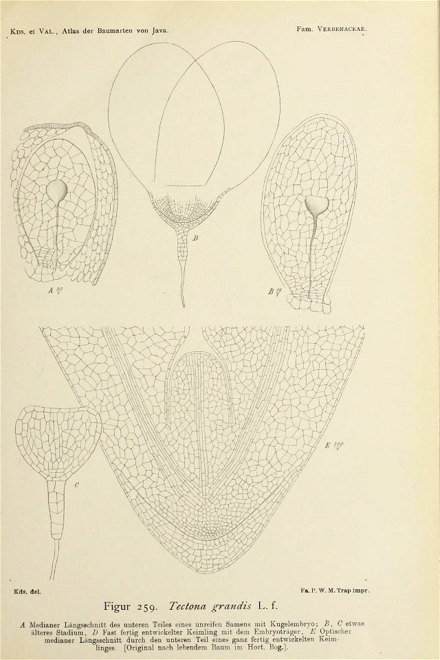 n142_w1150