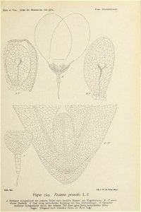 n142_w1150
