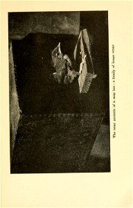 n56_w1150