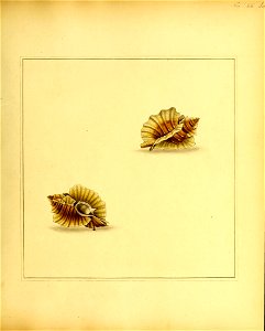 n194_w1150