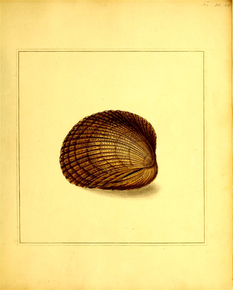 n222_w1150