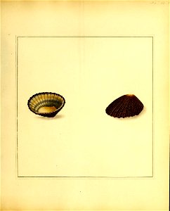 n192_w1150