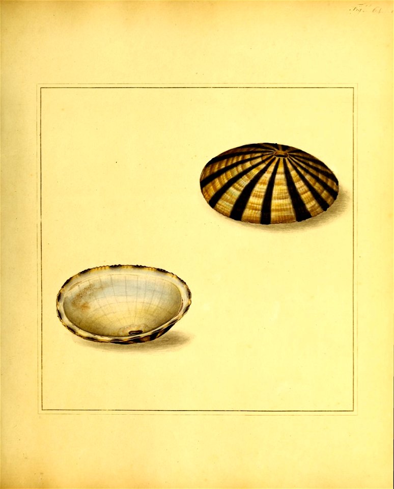 n190_w1150
