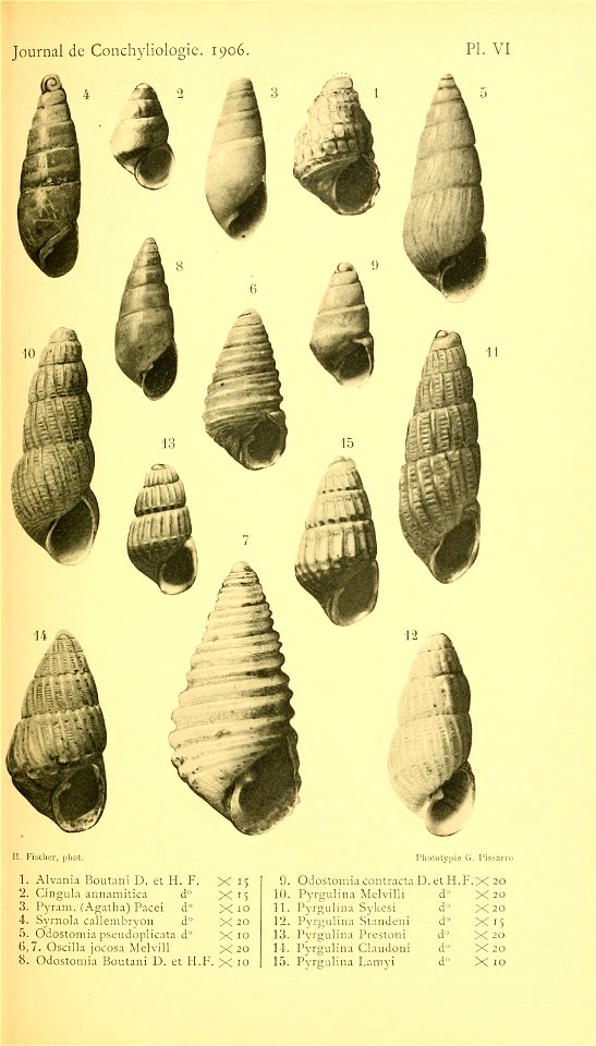 n258_w1150