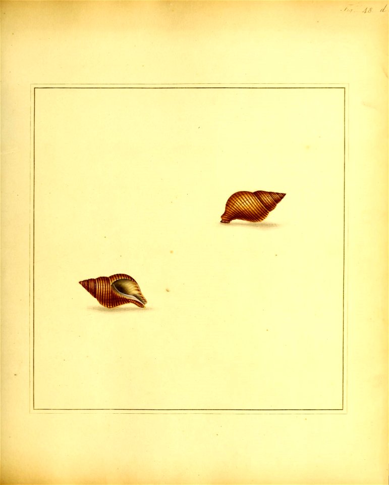 n158_w1150