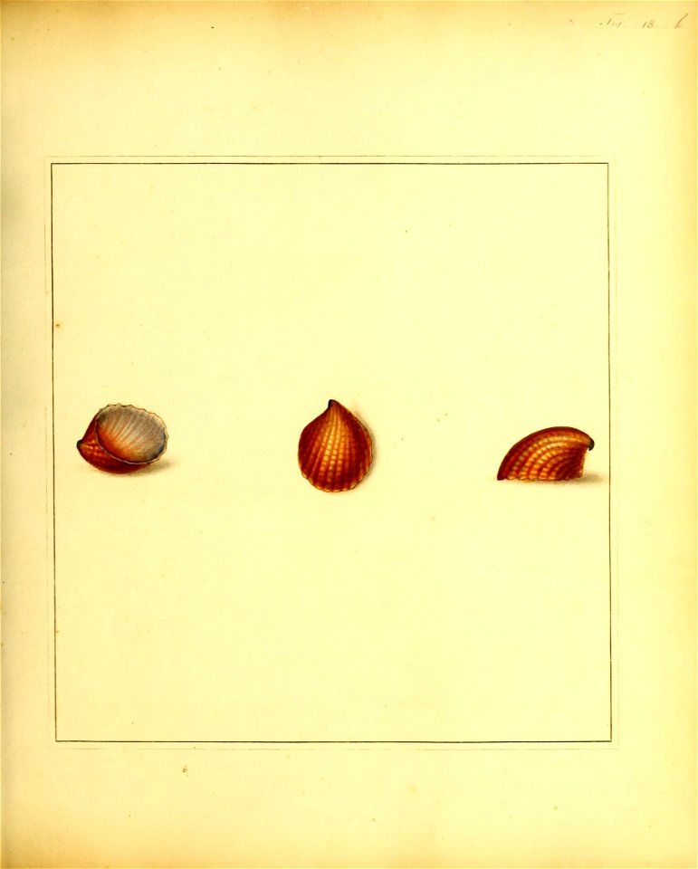 n98_w1150