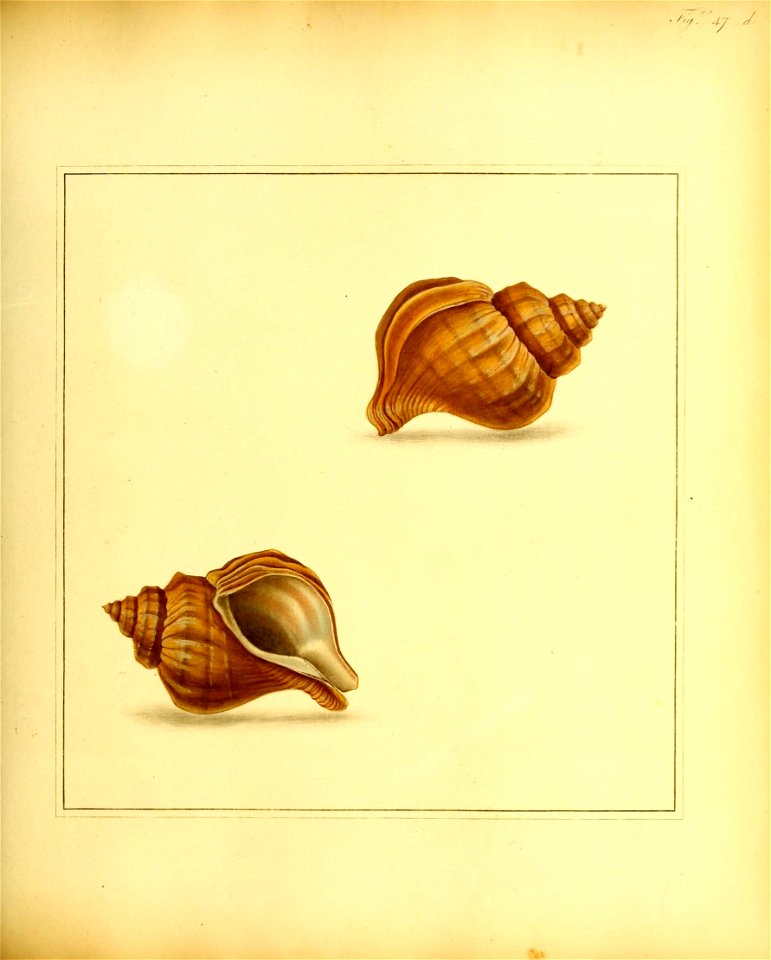 n156_w1150