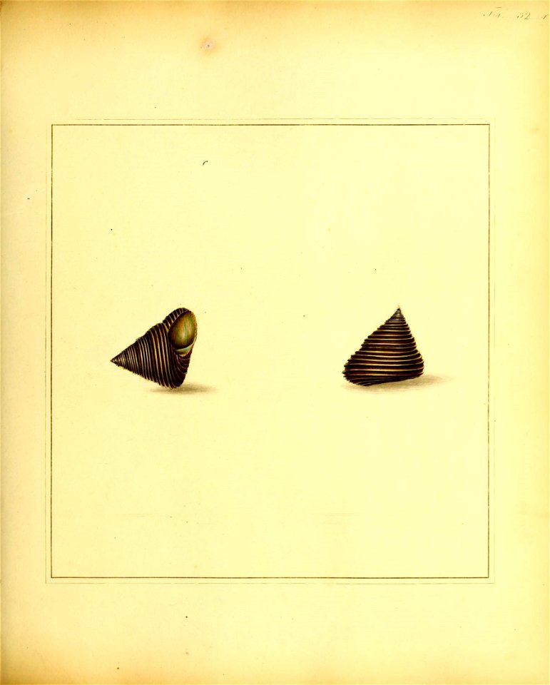 n126_w1150