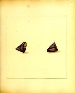 n126_w1150