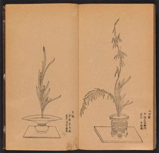 n52_w1150