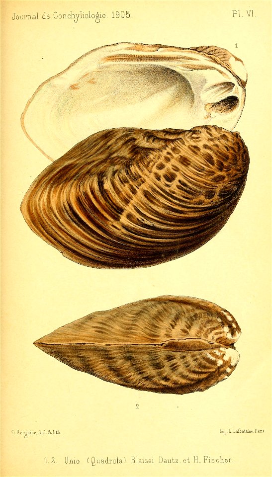 n166_w1150