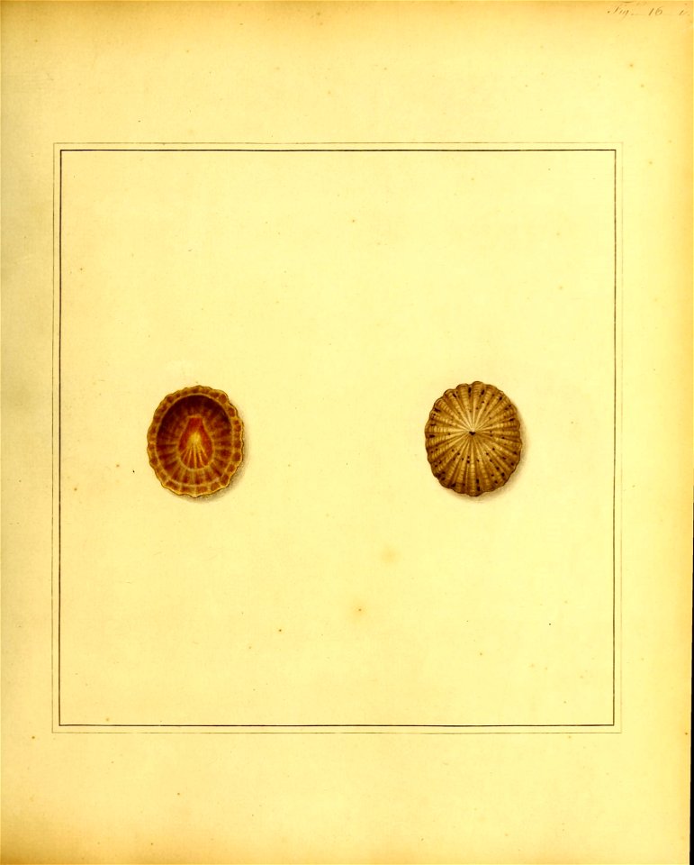 n94_w1150