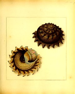 n122_w1150