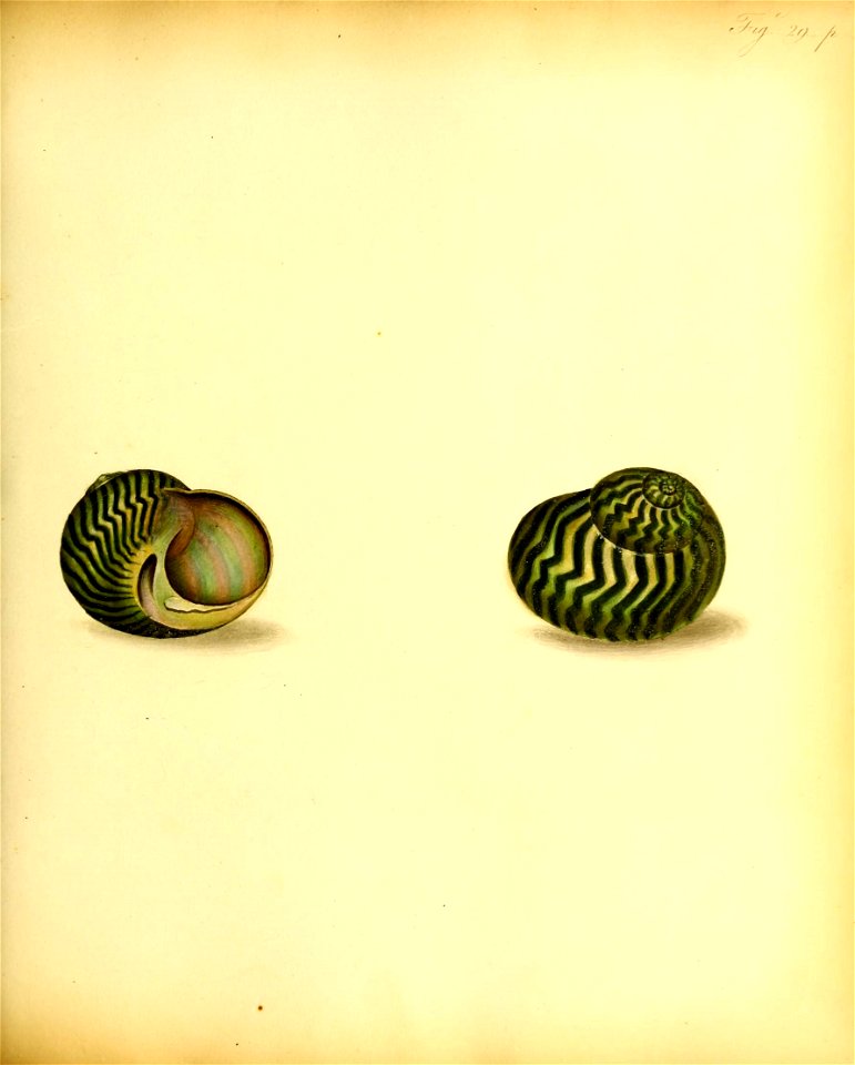 n120_w1150