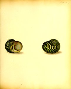 n120_w1150