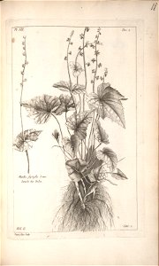 n119_w1150