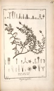 n159_w1150