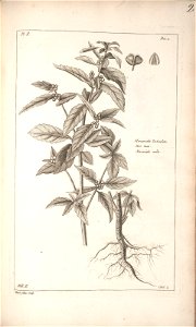 n103_w1150
