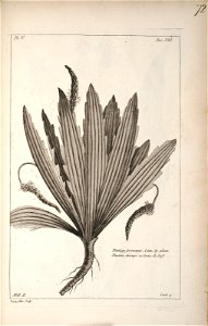 n173_w1150