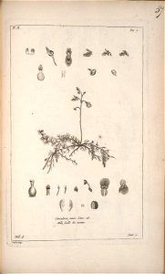 n158_w1150