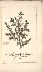 n61_w1150