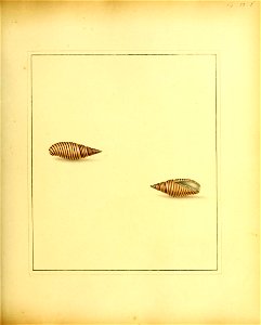 n106_w1150