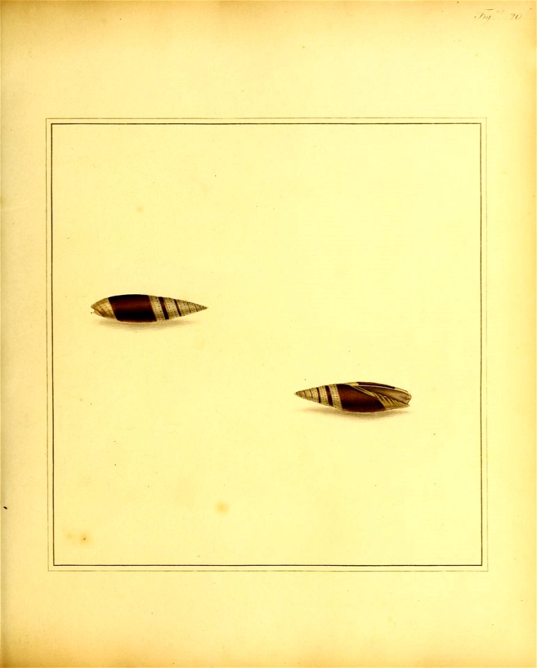 n102_w1150