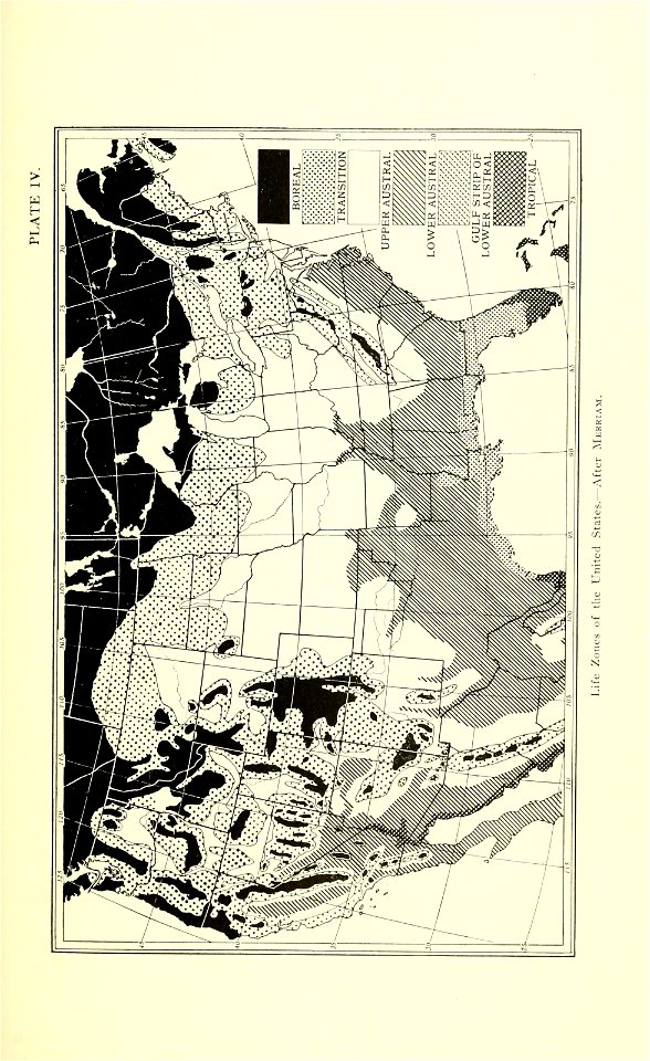 n398_w1150