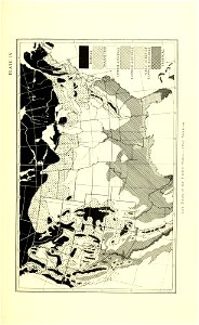 n398_w1150