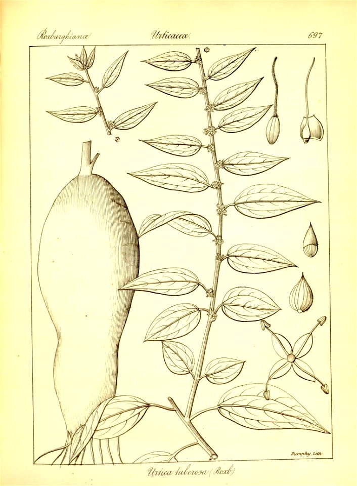 n423_w1150