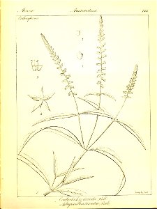 n448_w1150