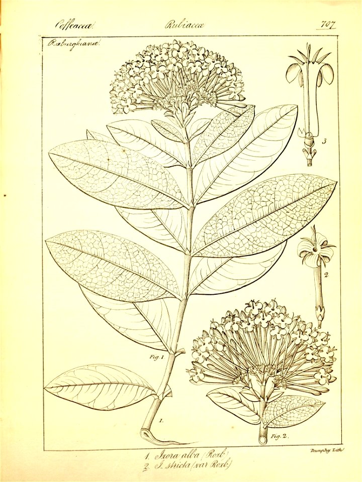 n433_w1150