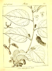 n403_w1150