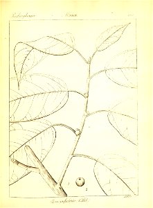 n391_w1150