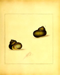 n208_w1150