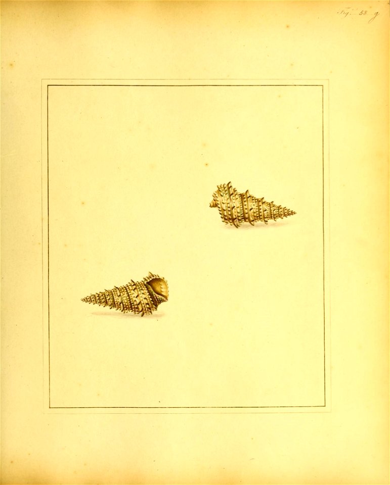n178_w1150