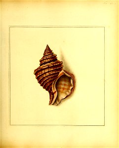 n148_w1150