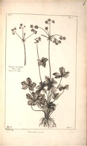n102_w1150