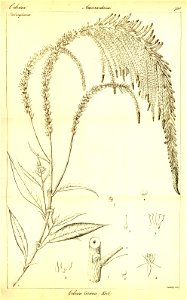 n456_w1150