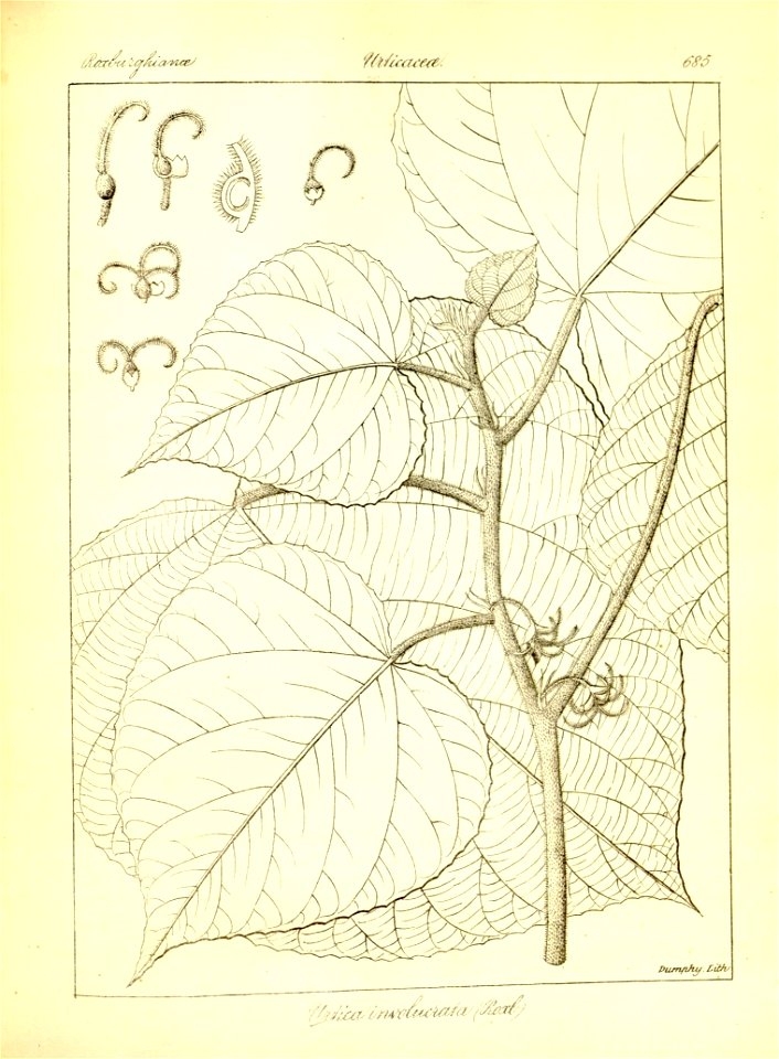 n411_w1150