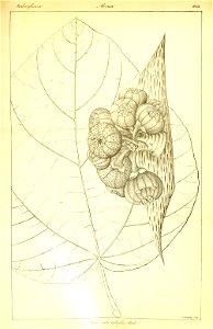 n399_w1150