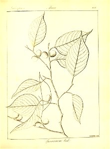 n384_w1150