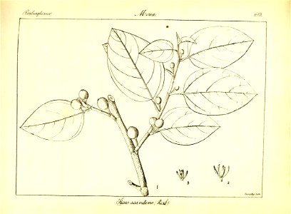 n369_w1150