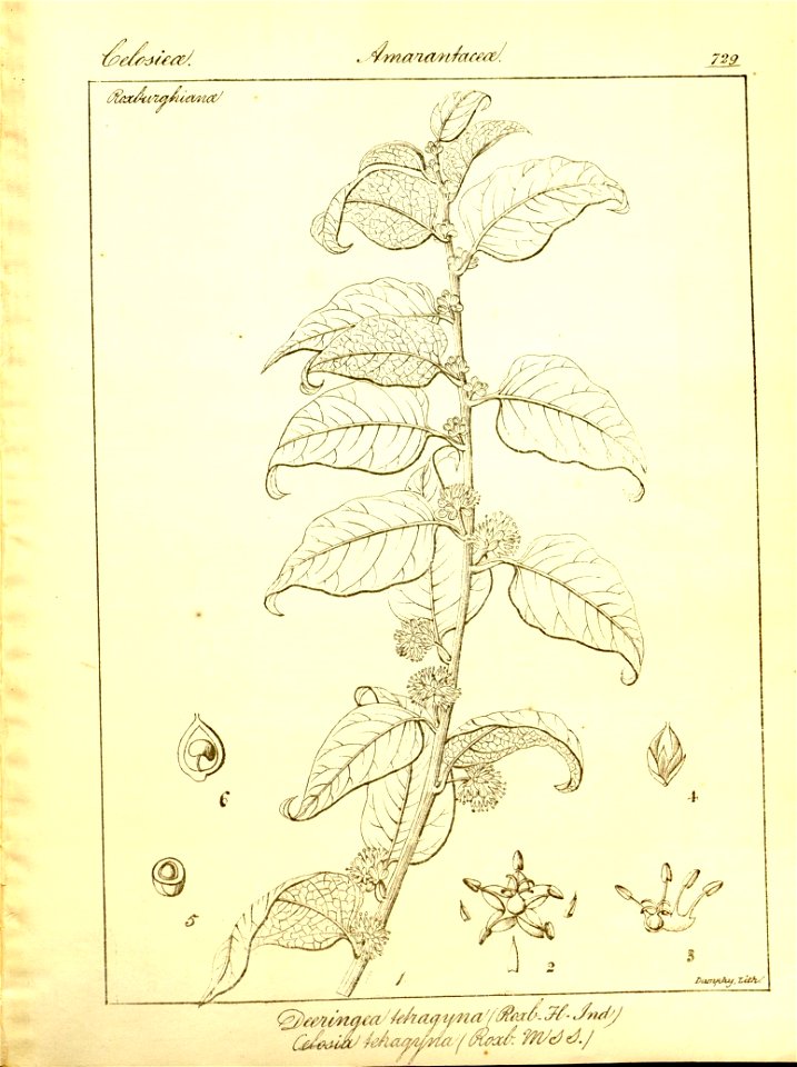 n455_w1150