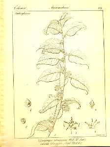 n455_w1150