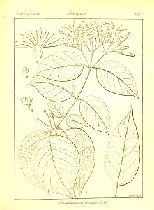 n425_w1150