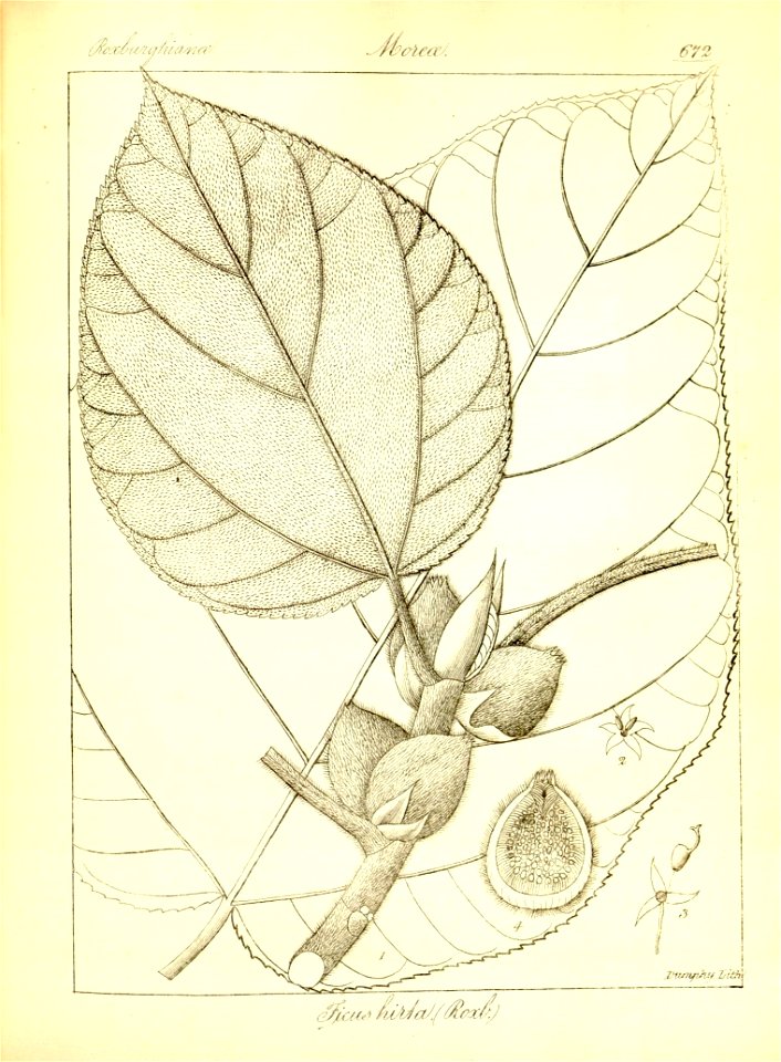 n398_w1150